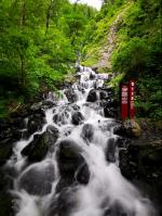 虫虫助手下载